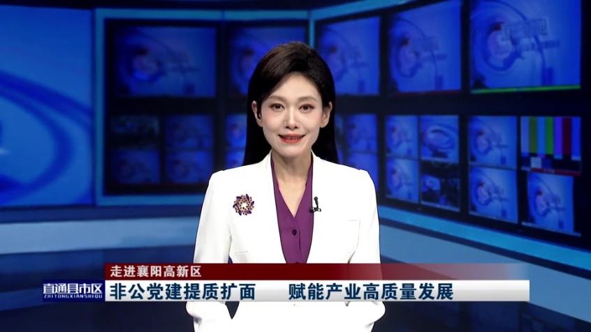 走進襄陽高新區（非公黨建提質擴面 賦能產業高質量發展）